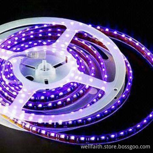 LED Copper Wire String Lights for Holiday